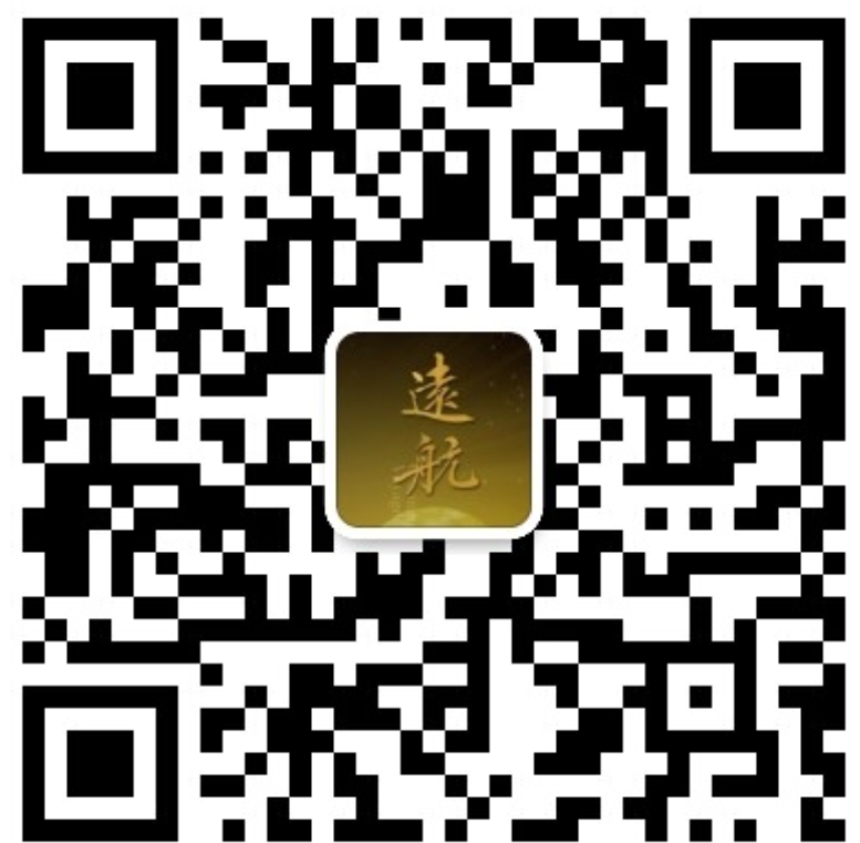 the qr code